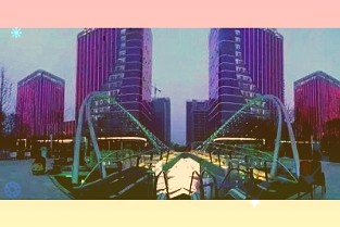 思考乐教育逆势大涨37%股价创约半年新高